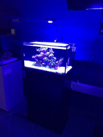 IM nuvo 20 nano mořské akvárium 80 litrů
