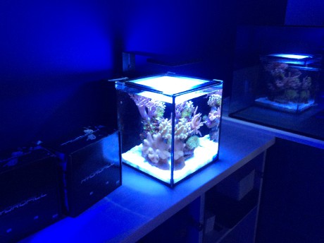 IM nuvo 10 nano mořské akvárium 40 litrů clamp