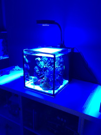 IM nuvo 10 nano mořské akvárium 40 litrů prime