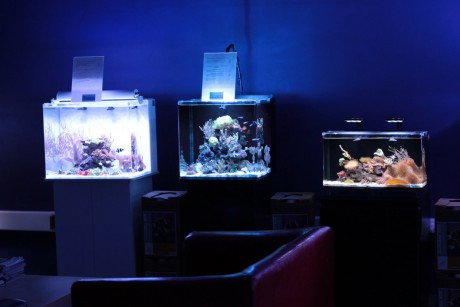 Naše mořská nano akvária