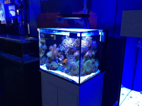 IM nuvo 40 mořské akvárium 145 litrů 