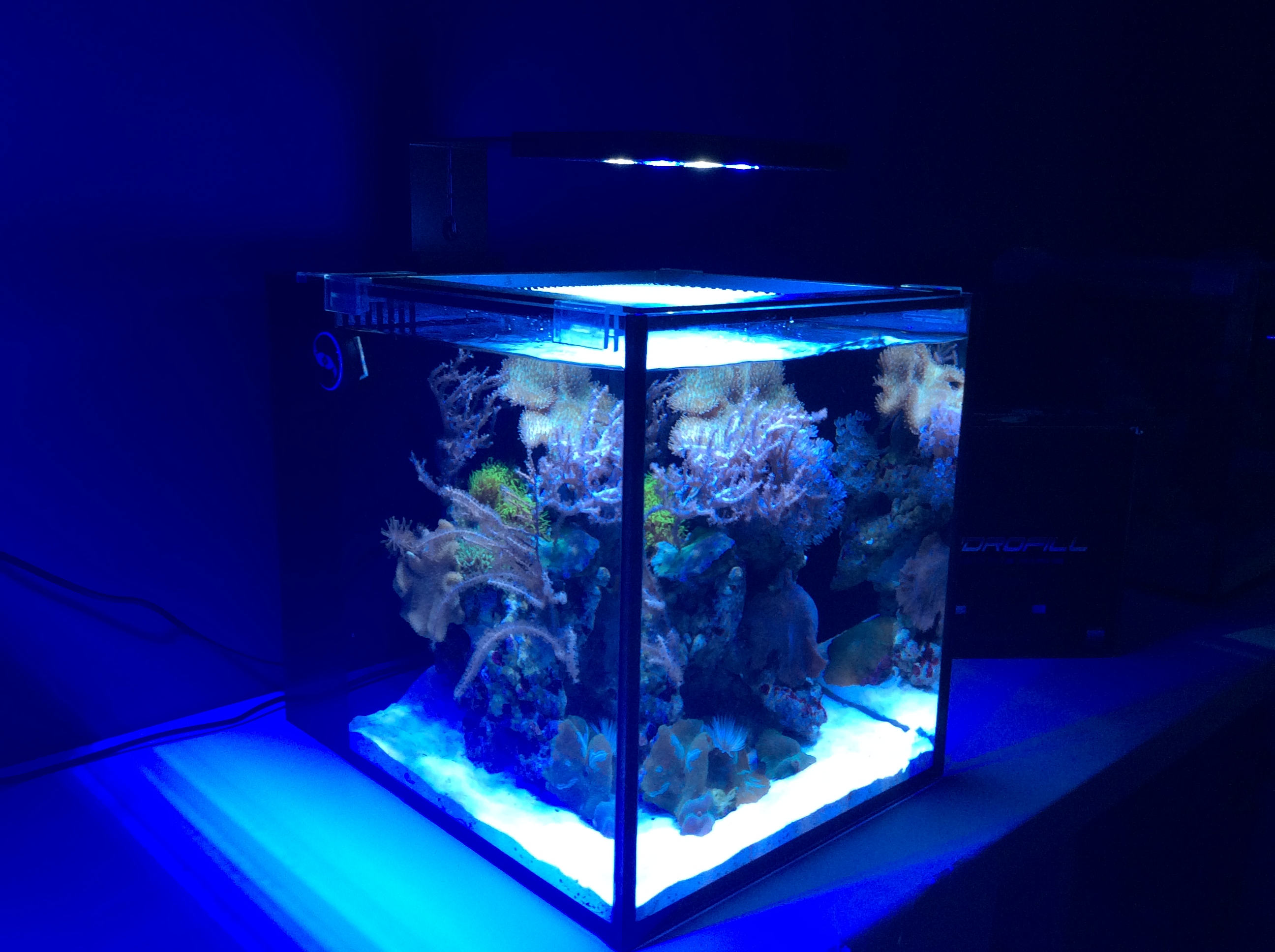 IM nuvo 10 nano mořské akvárium 40 litrů 3