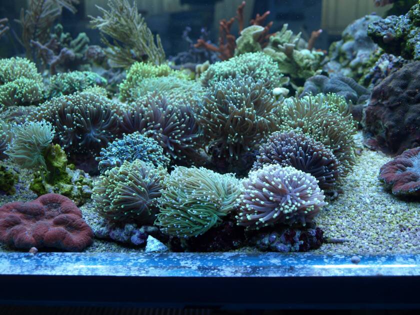 8102010 021.jpg