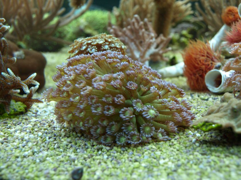 8102010 029.jpg