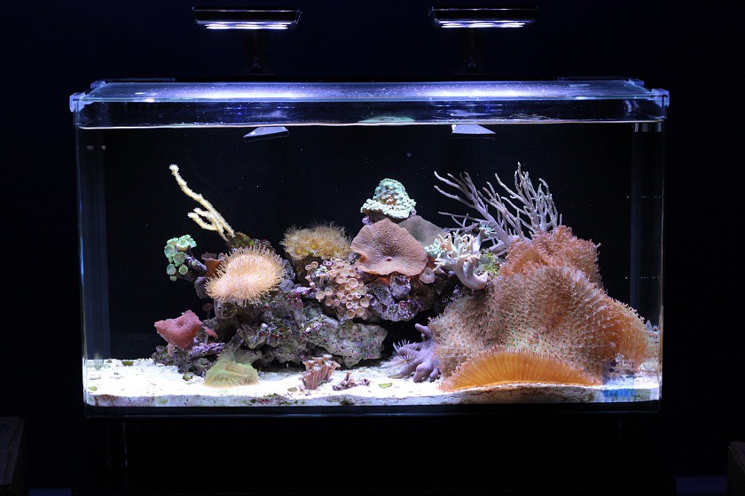 Mořské akvárium IM nano 16-60 litrů